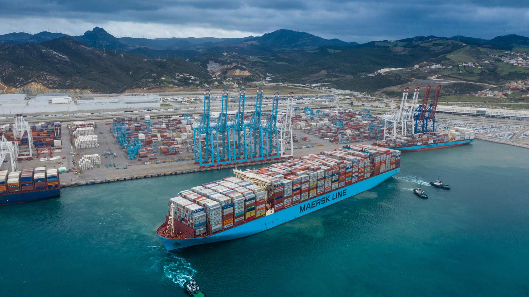 New Head of Global Operations appointed for APM Terminals