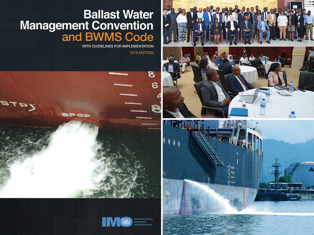 Eastern and Southern Africa region discusses Ballast Water Management Convention