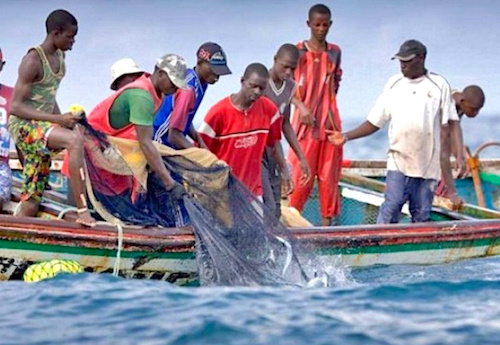 Togo/Fishing: A remarkable 50% increase in fish production by 2022