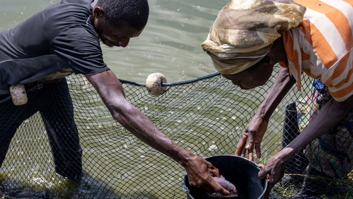 Angola casts net wider to scale up fish exports