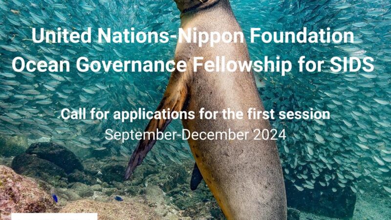 Call for Applications – UNNF Ocean Governance Fellowship for SIDS