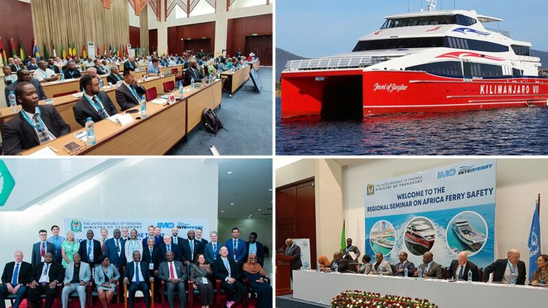 Industry experts call for stronger national legislation on domestic ferry safety in Africa