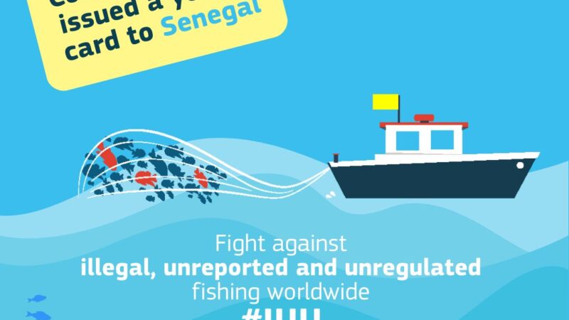 Fight against illegal, unreported and unregulated fishing: the European Union issues a “yellow card” to Senegal
