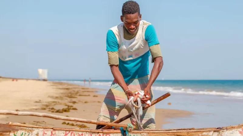 Benin: a government and African Development Bank project launched to boost the fisheries and aquaculture sector