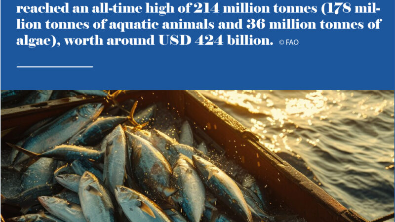 Statistics of the day : Global fisheries and aquaculture production in 2020