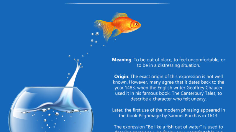 BE LIKE A FISH OUT OF WATER