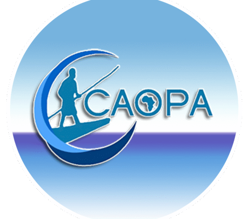 CAOPA statement for the AU-EU Summit (Luanda, Angola, November 2025)