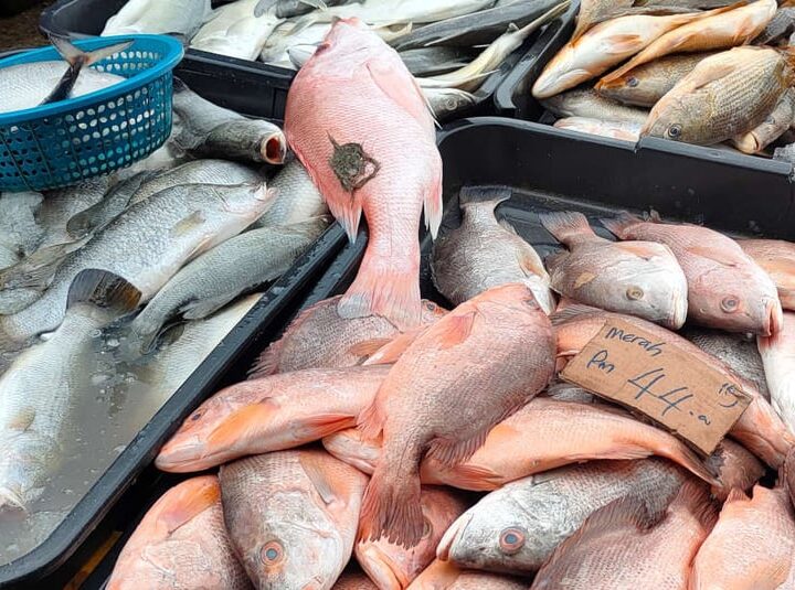 African Development Bank’s $21.9 Million Grant to Boost São Tomé and Príncipe’s Blue Economy and Strengthen Food Security