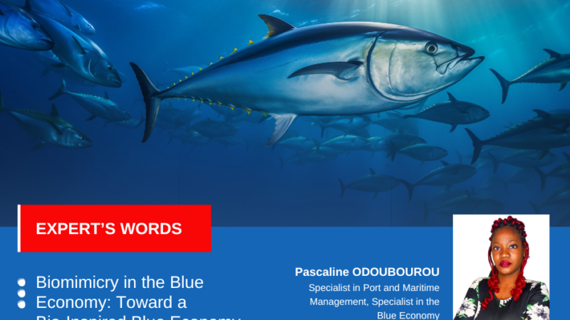 Biomimicry in the Blue Economy: Toward a Bio-Inspired Blue Economy