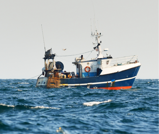 South Africa – Nine held for illegal harvesting attempt of marine resources in Robben Island