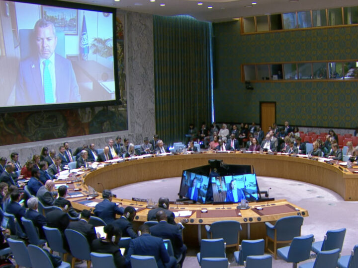 “Freedom of navigation is not negotiable”: IMO addresses UN Security Council on maritime safety in the Strait of Hormuz