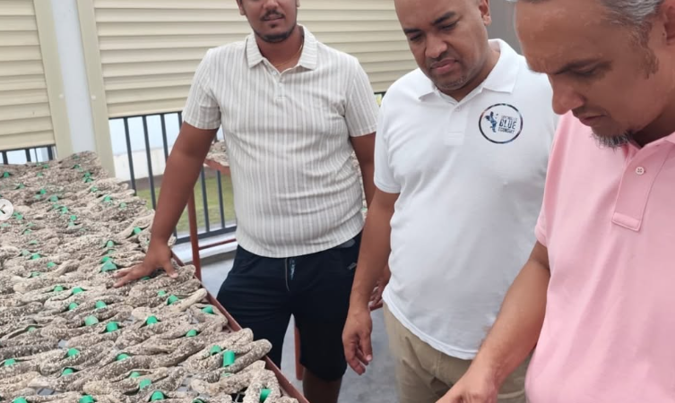 Seychelles – From Challenges to Solutions: Minister Cosgrow advances targeted support for Blue Economy enterprises on Mahé and Praslin