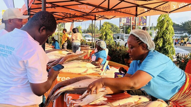Liberia – NaFAA, Orange Liberia, and FAO Partner to Host Second Fish Market Day