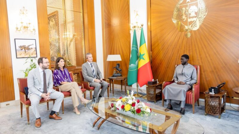 Senegal – President Bassirou Diomaye Faye Receives a Delegation from Damen Shipyards Group