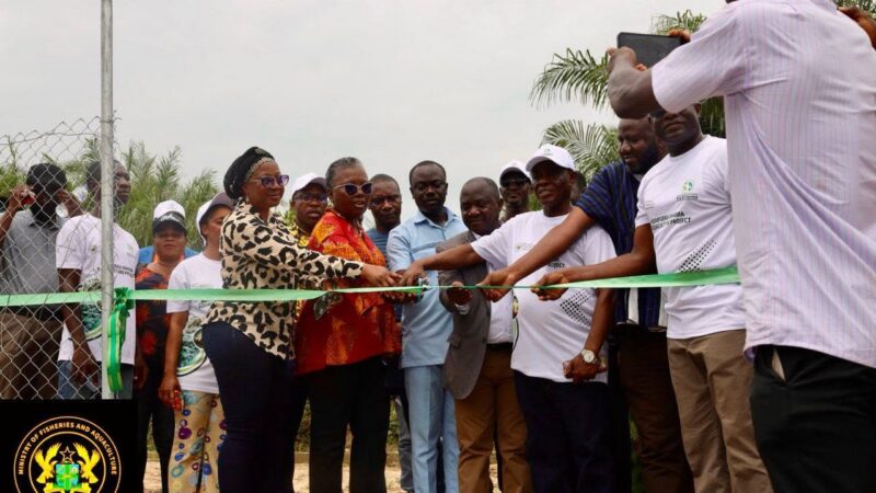 From Pits to Ponds: Ghana Launches Revolutionary Komfueku–Shama Aquaculture Project﻿