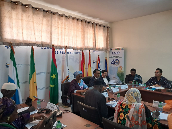West Africa Advances Inclusive Fisheries Governance with Establishment of Small-Scale Fisheries Technical Working Group