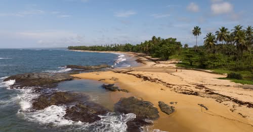 Call for proposals: Fisheries story grants, Liberia