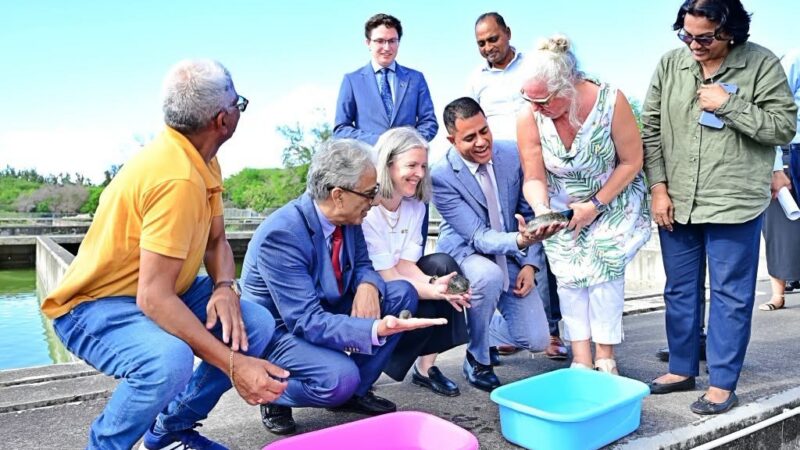 Sandfish Project advances marine restoration and sustainable aquaculture in Mauritius