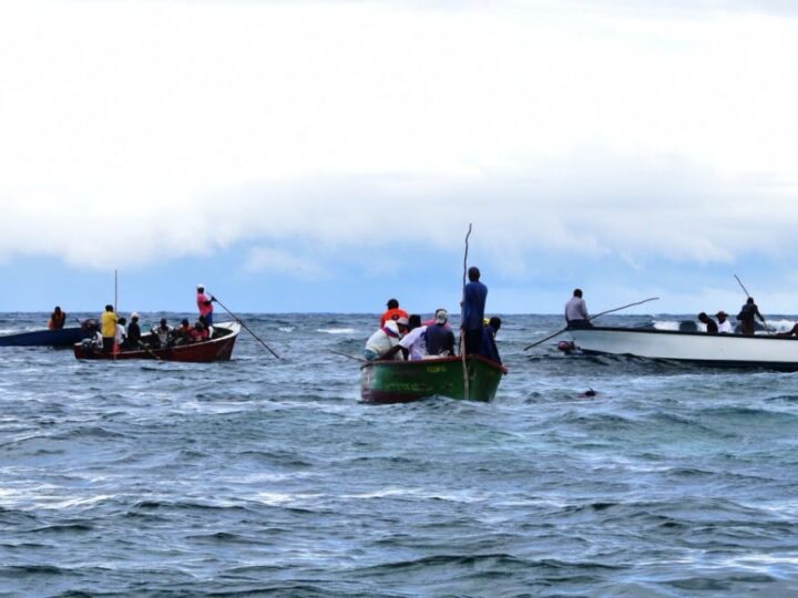 Mauritius – New regulations to combat Illegal, Unreported and Unregulated Fishing