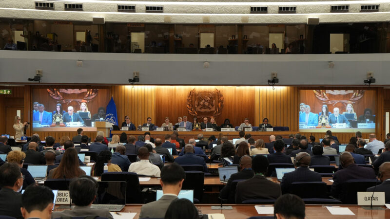 IMO Council reaffirms commitment to protecting vital shipping lanes