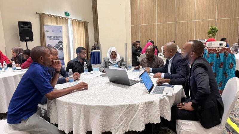 Shaping Zanzibar’s First Seaweed Insurance Solution
