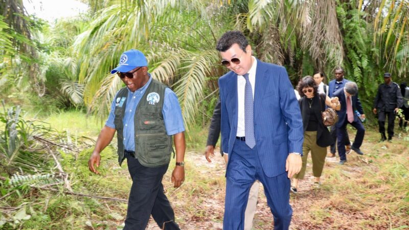 Liberia – LiMA Joins Stakeholders on Site Identification Visit for Major Industrial Investment in Edina