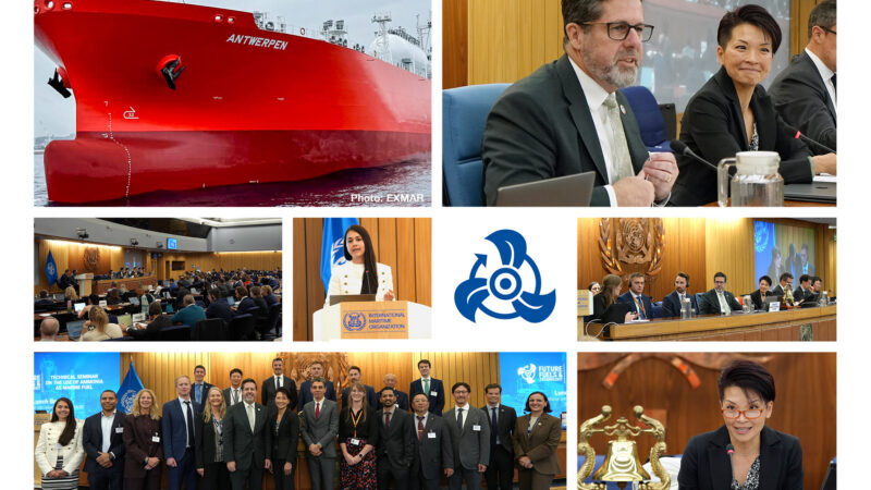 Exploring the use of ammonia as marine fuel in shipping