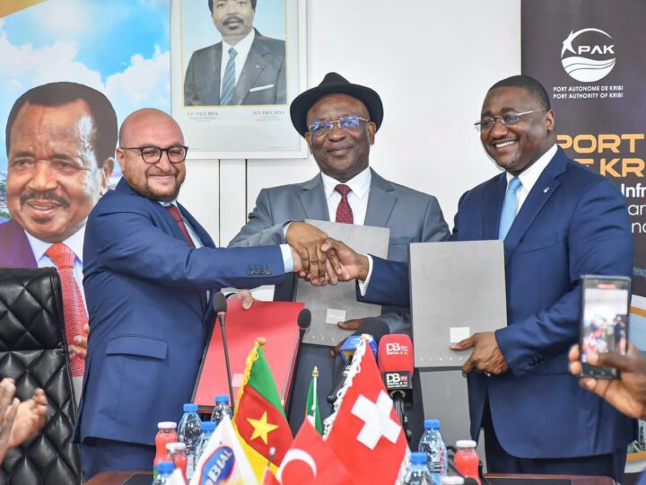 Cameroon: The Port Authority of Kribi Bets on the Development of an Agro-Industrial Terminal