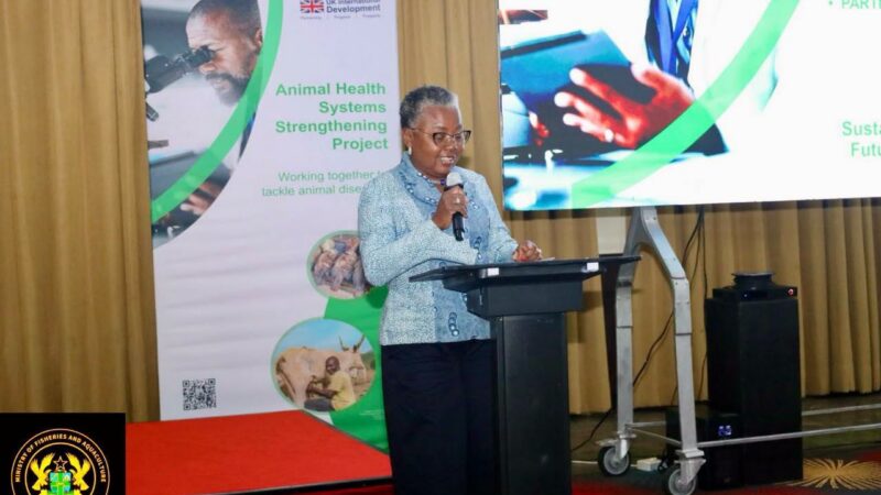 The Animal Health Systems Strengthening (AHSS) Programme has concluded its Ghana Project Closure, Learning and Celebration to highlight the project’s achievements, share key lessons and explore strategies for sustaining progress in Ghana’s animal health systems