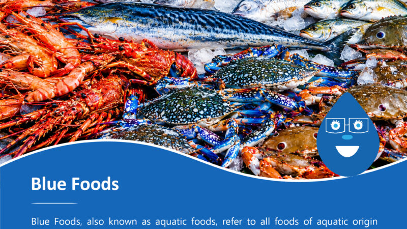 Blue Foods