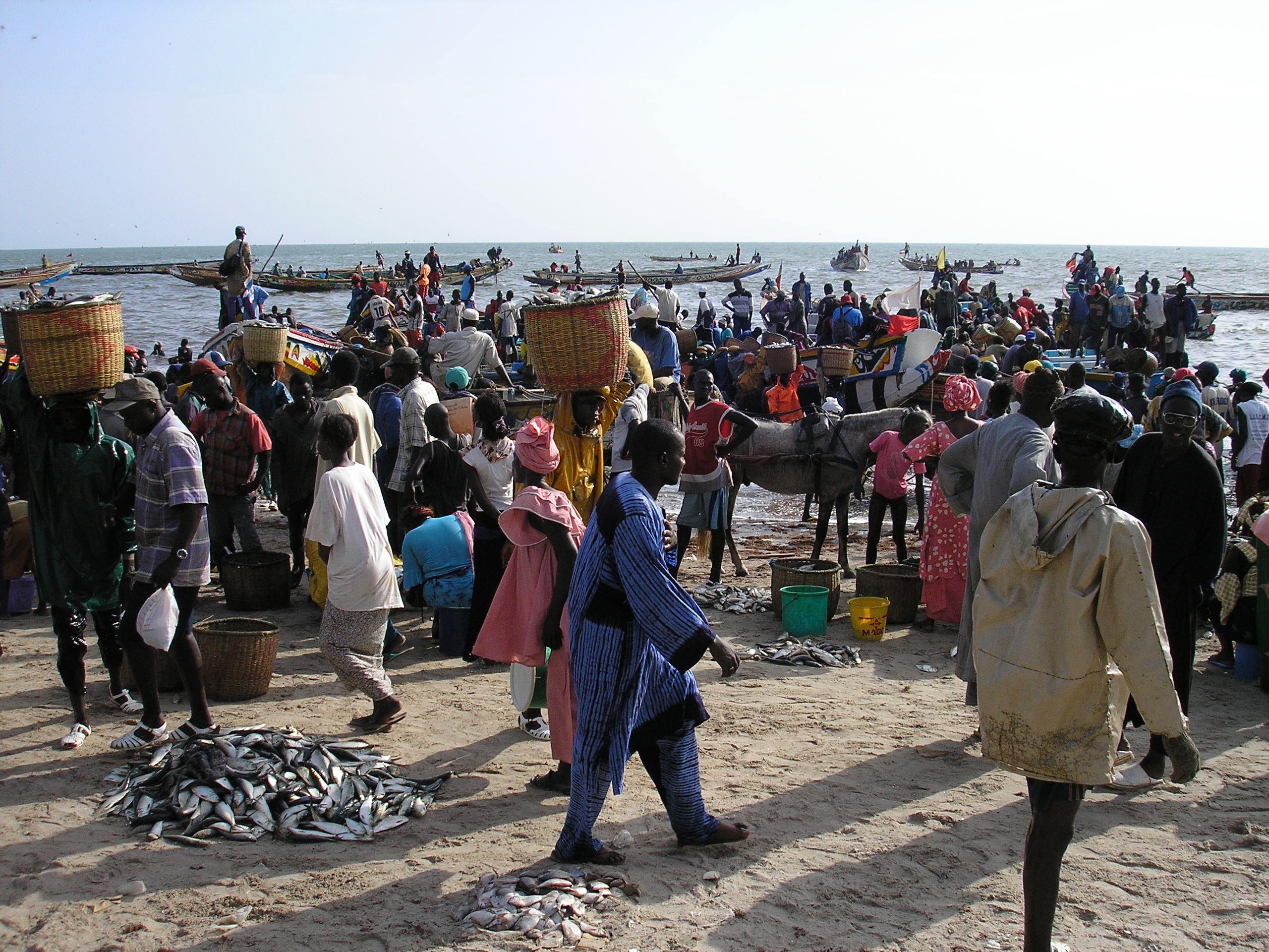 La raréfaction des ressources halieutiques au Sénégal, une possible menace pour la sécurité maritime ?