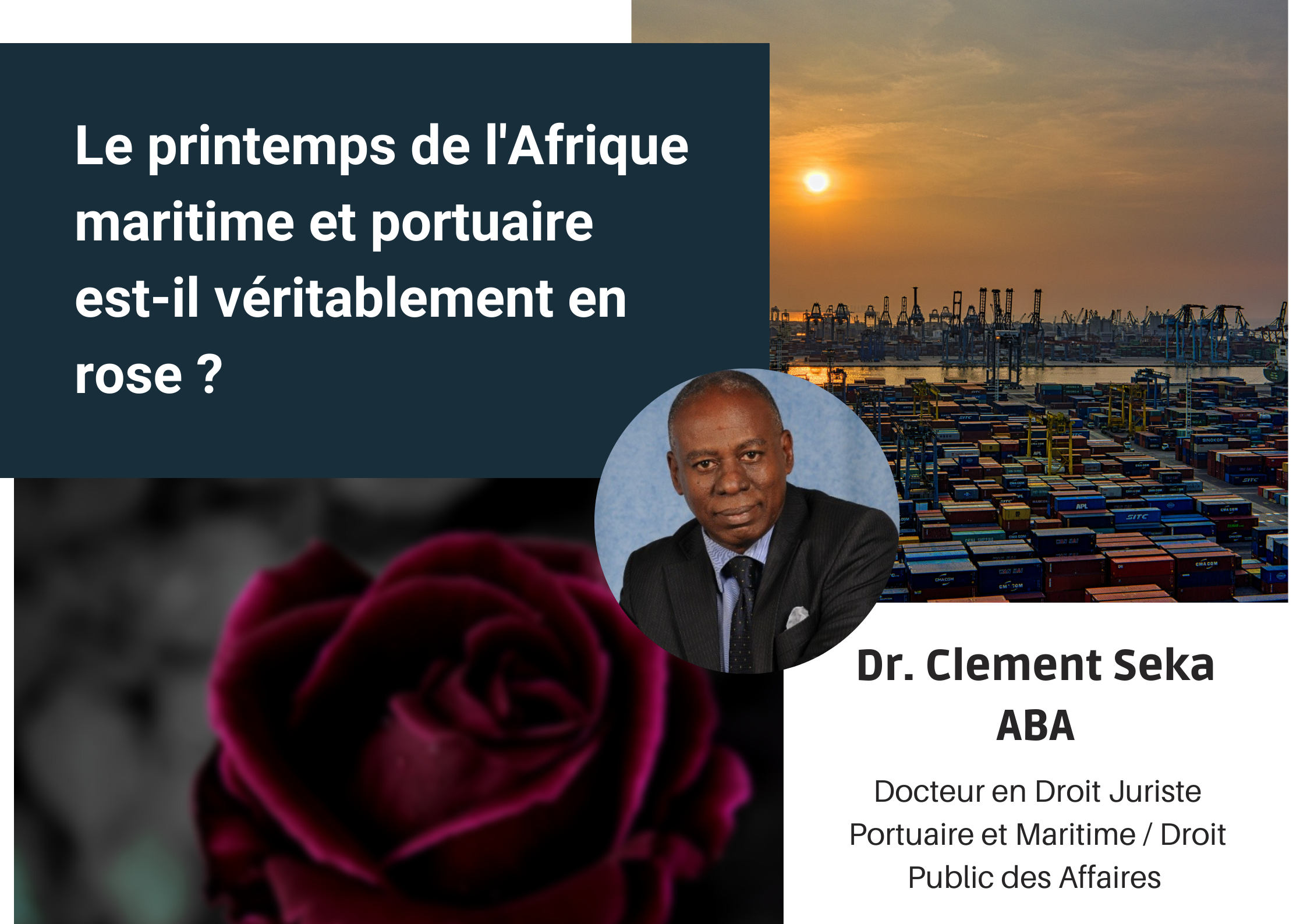 Le printemps de l’Afrique maritime et portuaire est-il véritablement en rose ?