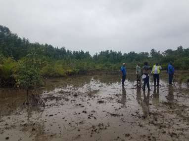 Pollution et dégradations des Mangroves