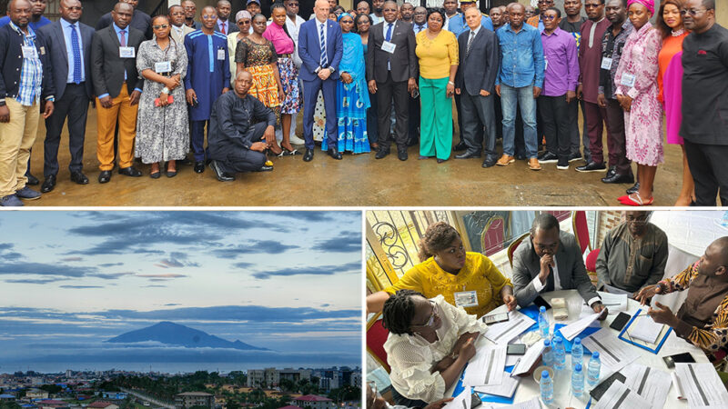 Promouvoir l’approche « pangouvernementale » de la sûreté maritime au Cameroun