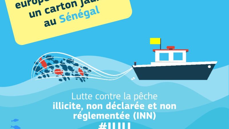 Lutte contre la pêche illicite, non déclarée et non réglementée : l’Union Européenne émet un « carton jaune » au Sénégal