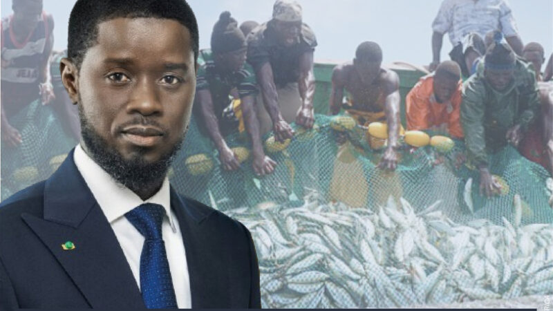 Sénégal : Le Président Faye appelle à une révision du Code de la pêche maritime, un audit du pavillon sénégalais et une évaluation des accords et licences de pêche