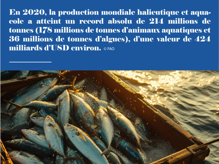 Chiffres du jour : Production Mondiale Halieutique et Aquacole en 2020