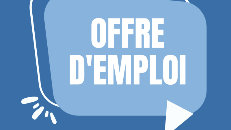 Offre d’emploi : Assistant Technique International en Ingénierie Maritimes et Portuaires, Consultant, Comores