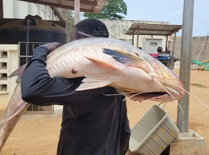 Côte d’Ivoire : la Banque africaine de développement accorde plus de 24 millions d’euros de prêt pour améliorer les secteurs de la pêche et de l’aquaculture au profit de quelque 700 000 personnes