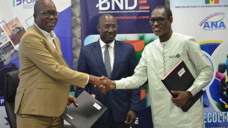 L&rsquo;ANA, la BNDE et le FONGIP unissent leurs forces pour booster l&rsquo;aquaculture au Sénégal