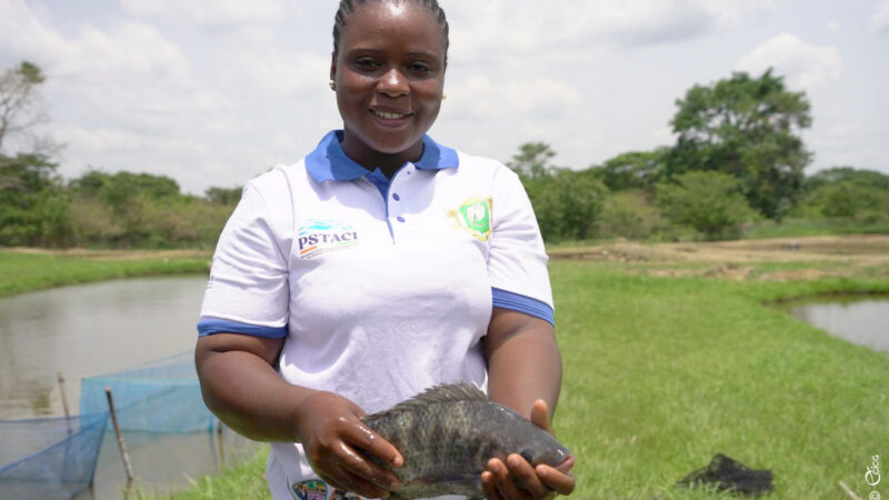 RESSOURCES HALIEUTIQUES : LE SECTEUR CREE DES EMPLOIS ET RENFORCE LA SÉCURITÉ ALIMENTAIRE