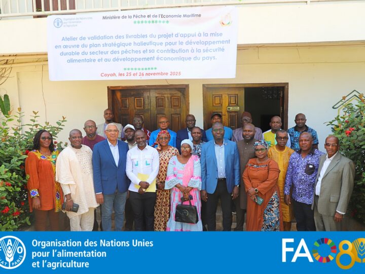 FAO et Ministère de la Pêche, une alliance féconde pour l&rsquo;avenir bleu de la Guinée