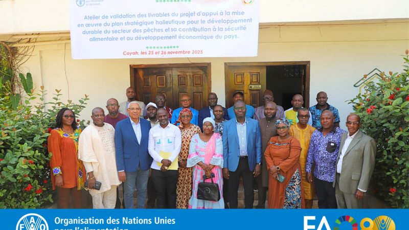 FAO et Ministère de la Pêche, une alliance féconde pour l&rsquo;avenir bleu de la Guinée