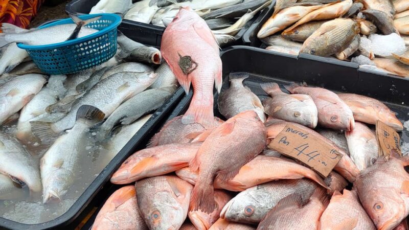 Banco Africano de Desenvolvimento concede subsídio de 21,9 milhões de dólares para impulsionar a economia azul e fortalecer a segurança alimentar em São Tomé e Príncipe