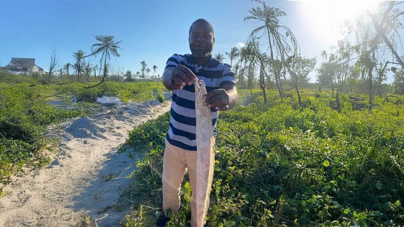 Un programme de pêche financé par le Groupe de la Banque africaine de développement améliore la vie de deux millions de personnes et stimule la transformation économique de 16 pays de la SADC