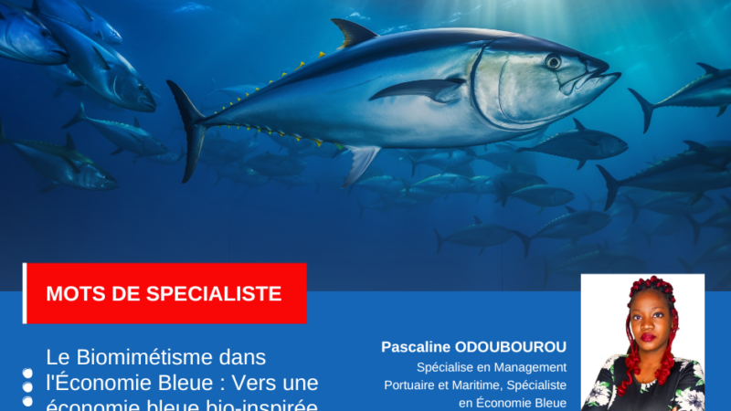 Le Biomimétisme dans l&rsquo;Économie Bleue : Vers une économie bleue bio-inspirée