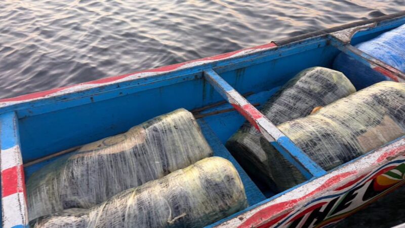 Sénégal – Lutte contre le trafic de drogues : près d’une tonne de chanvre indien saisie dans les îles du Saloum en un mois