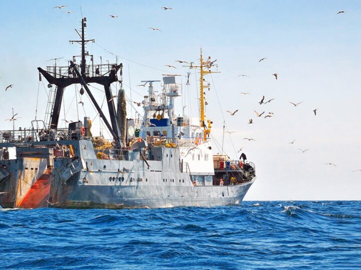 El tratado mundial sobre la seguridad de los buques pesqueros entrará en vigor en 2027