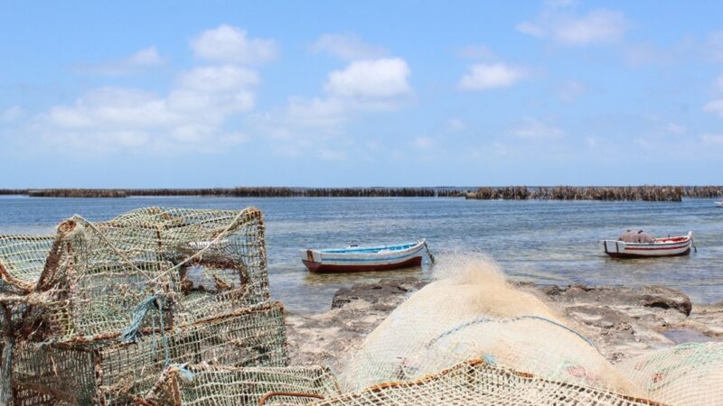 Soutenir la pêche durable en Tunisie : l’exemple des pêcheries fixes