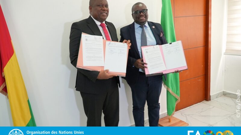 La Guinée pose les bases d’une économie bleue durable